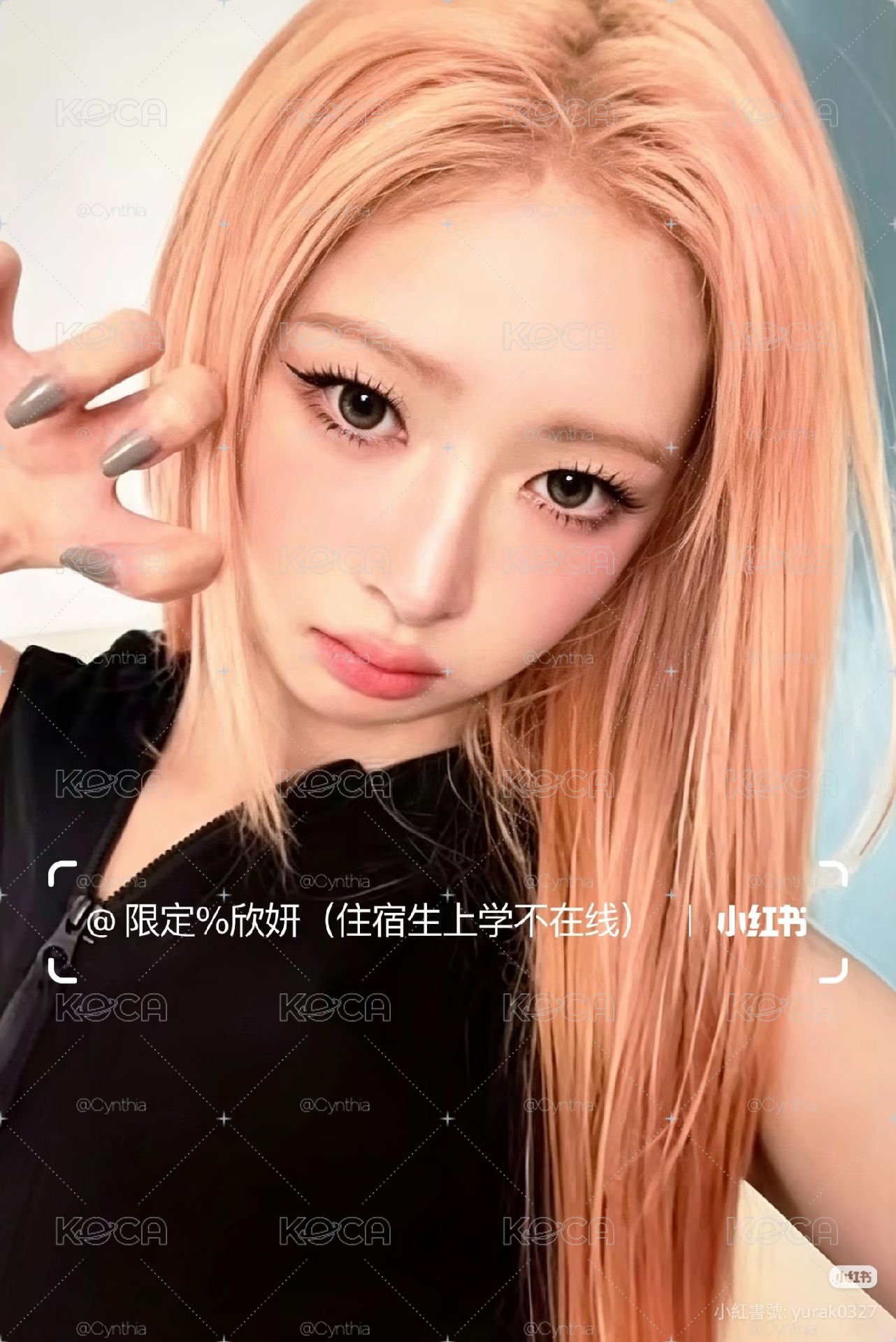 kms2怜中背