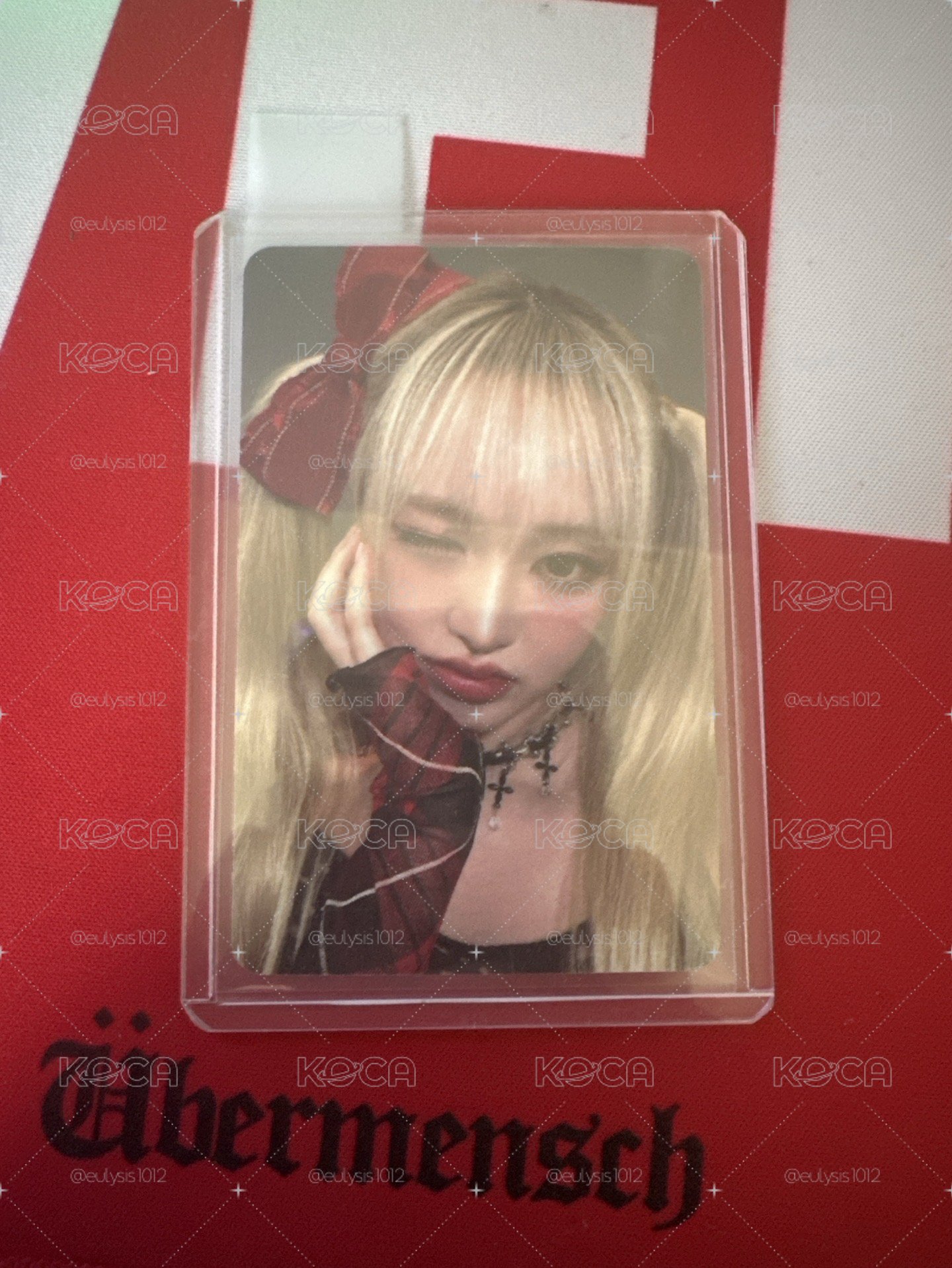 am2蝴蝶結栗