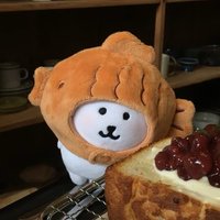 花栗鼠