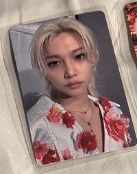 花花愛龍龍