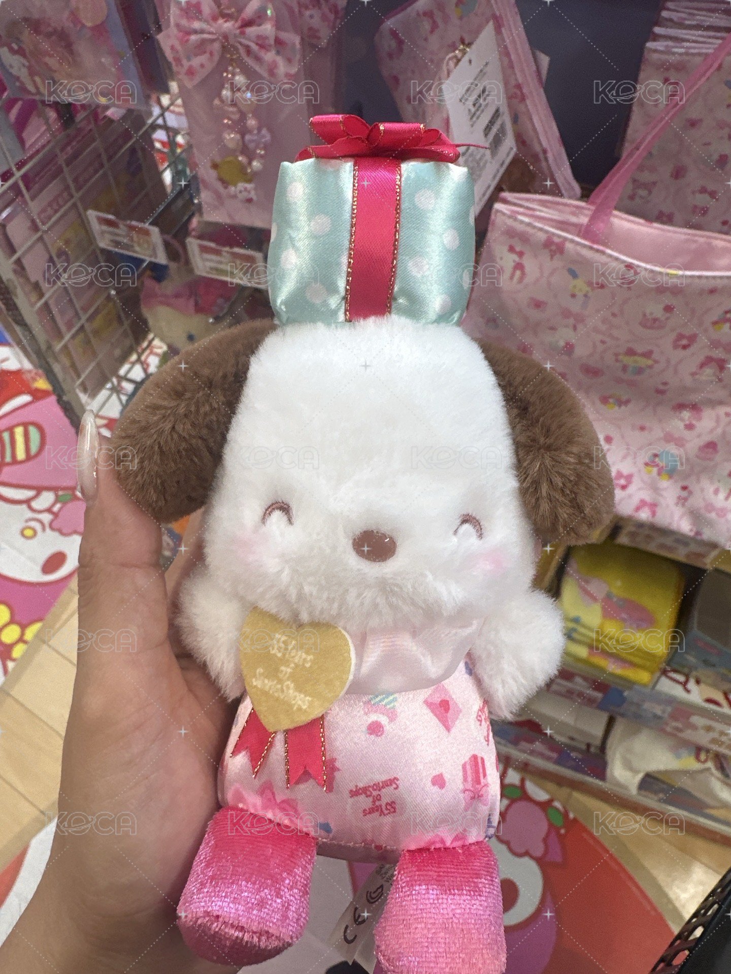 帕恰狗吊娃