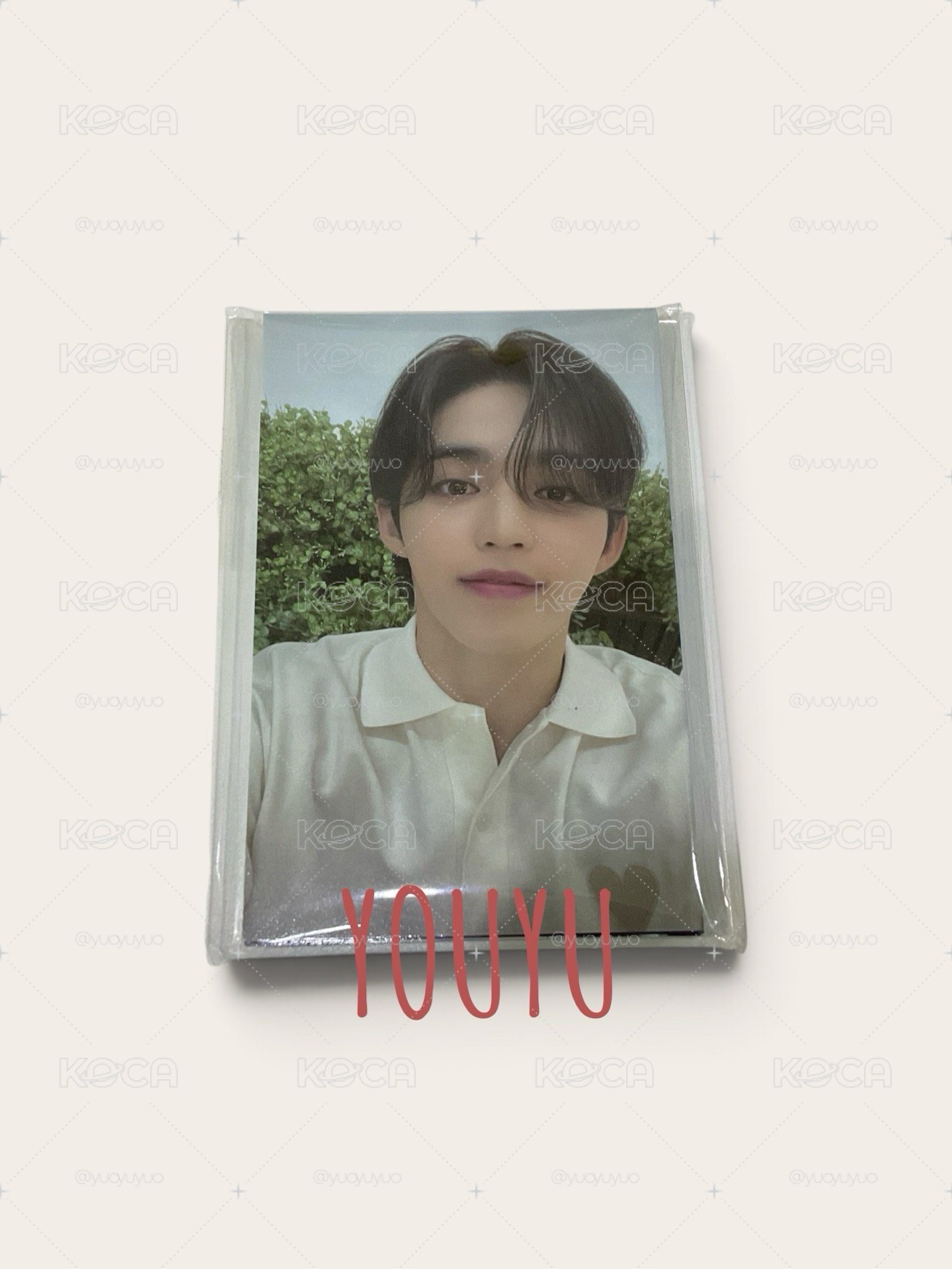 ✨現貨 21 克拉島 衣服卡 整套 13張 全新未拆