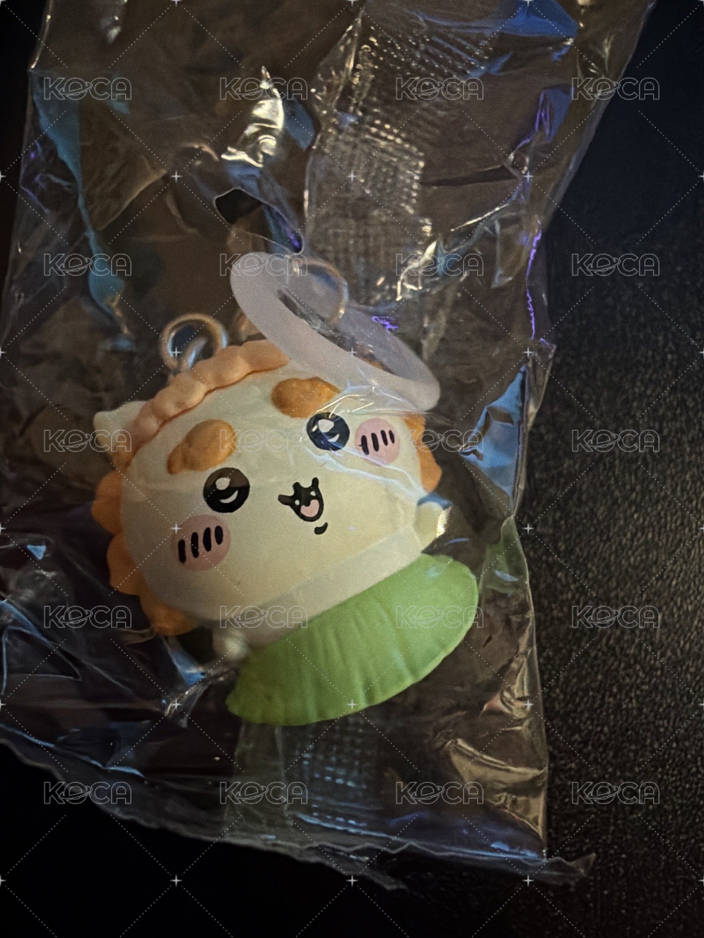 獅薩