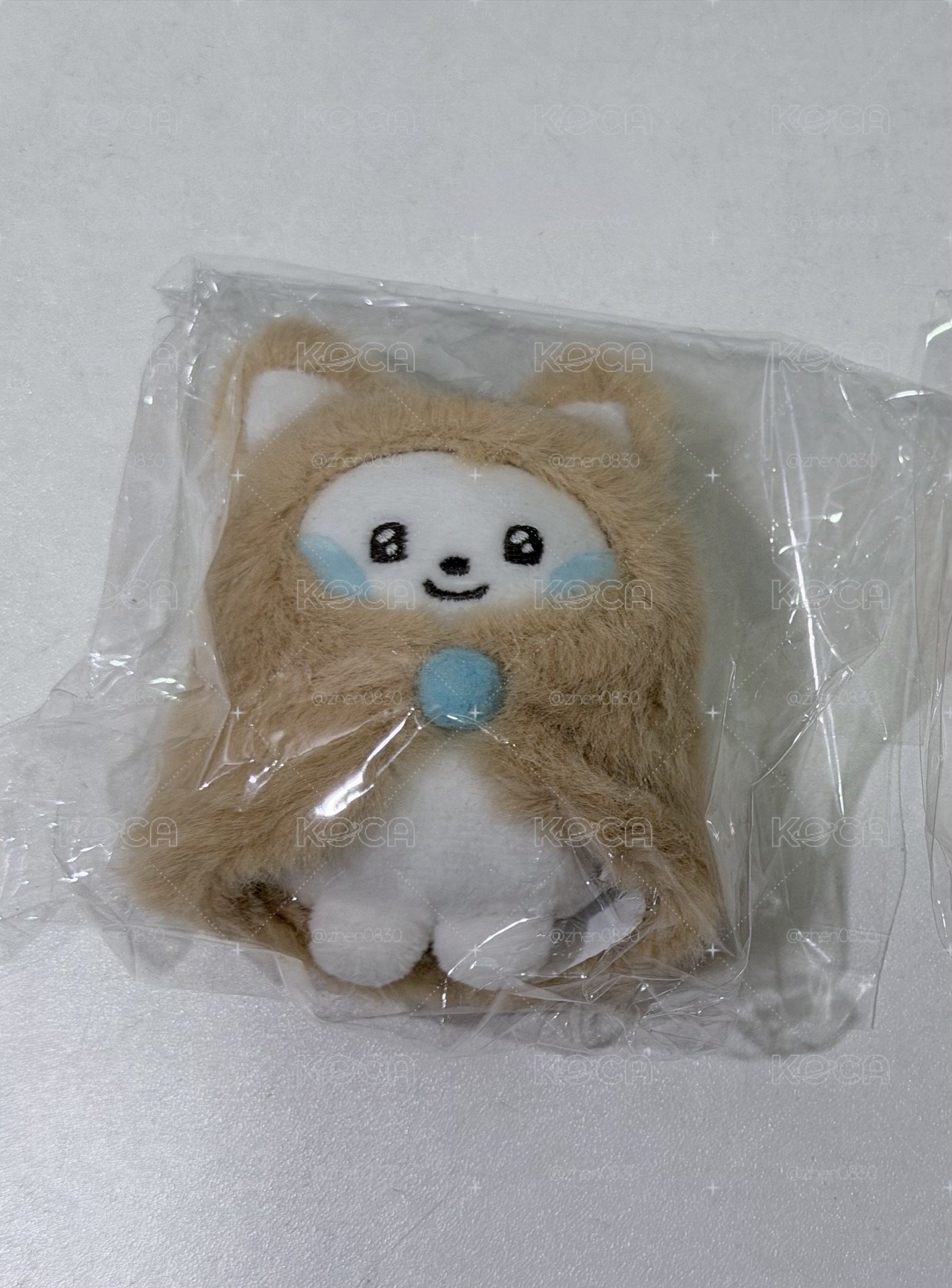 奎動物娃