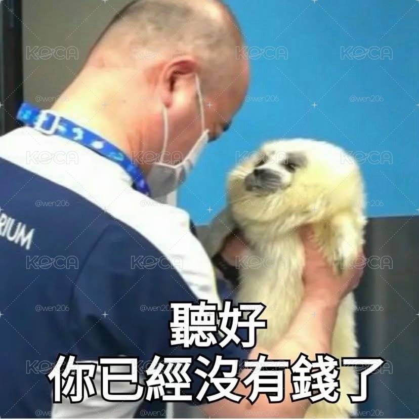 小迷ㄉ卡白菜賣
