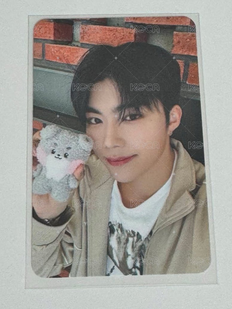 旭盒娃卡