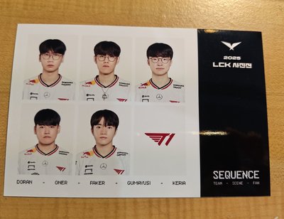 t1證件照