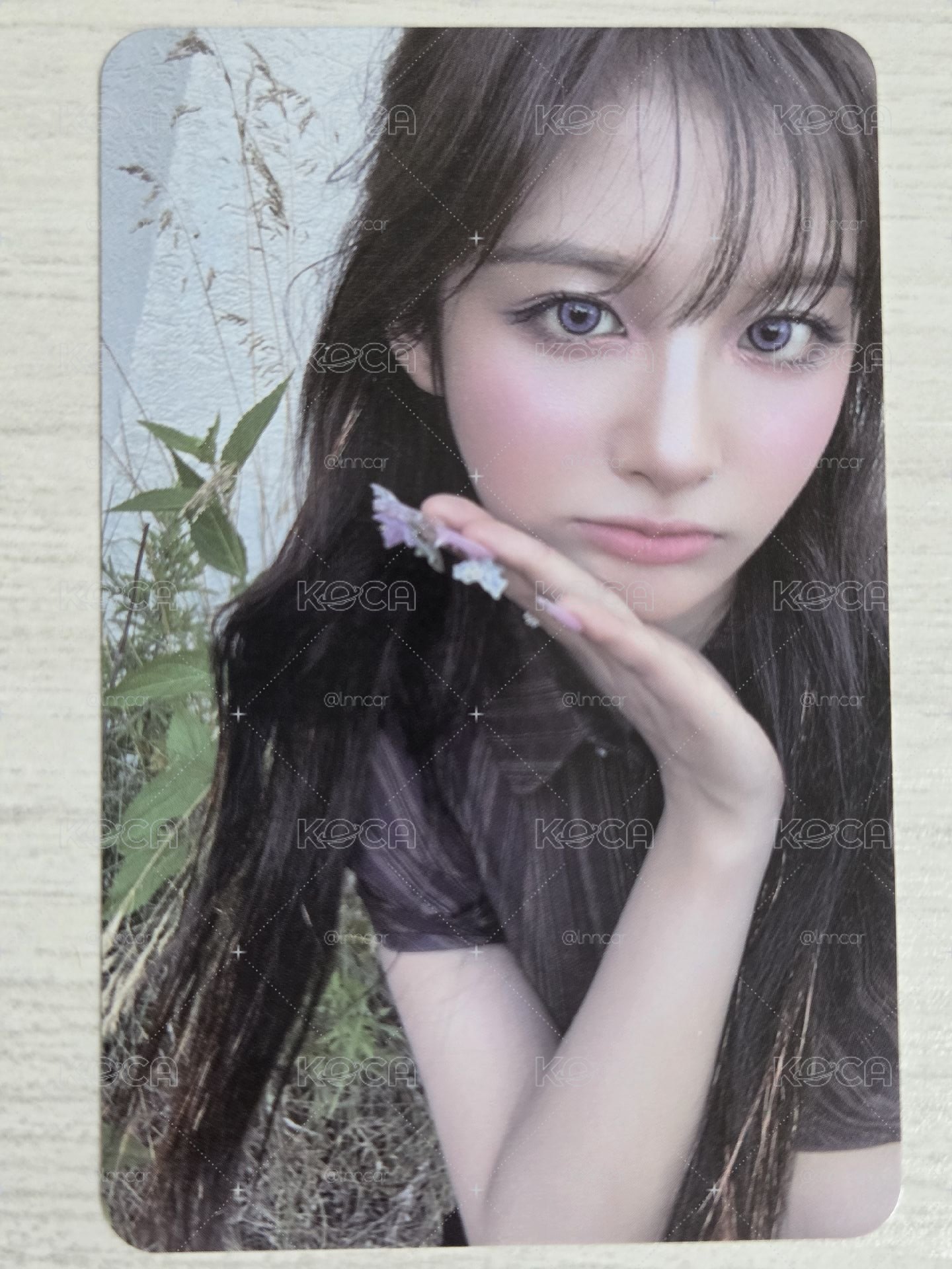 正規一 普版 專輯卡 薛