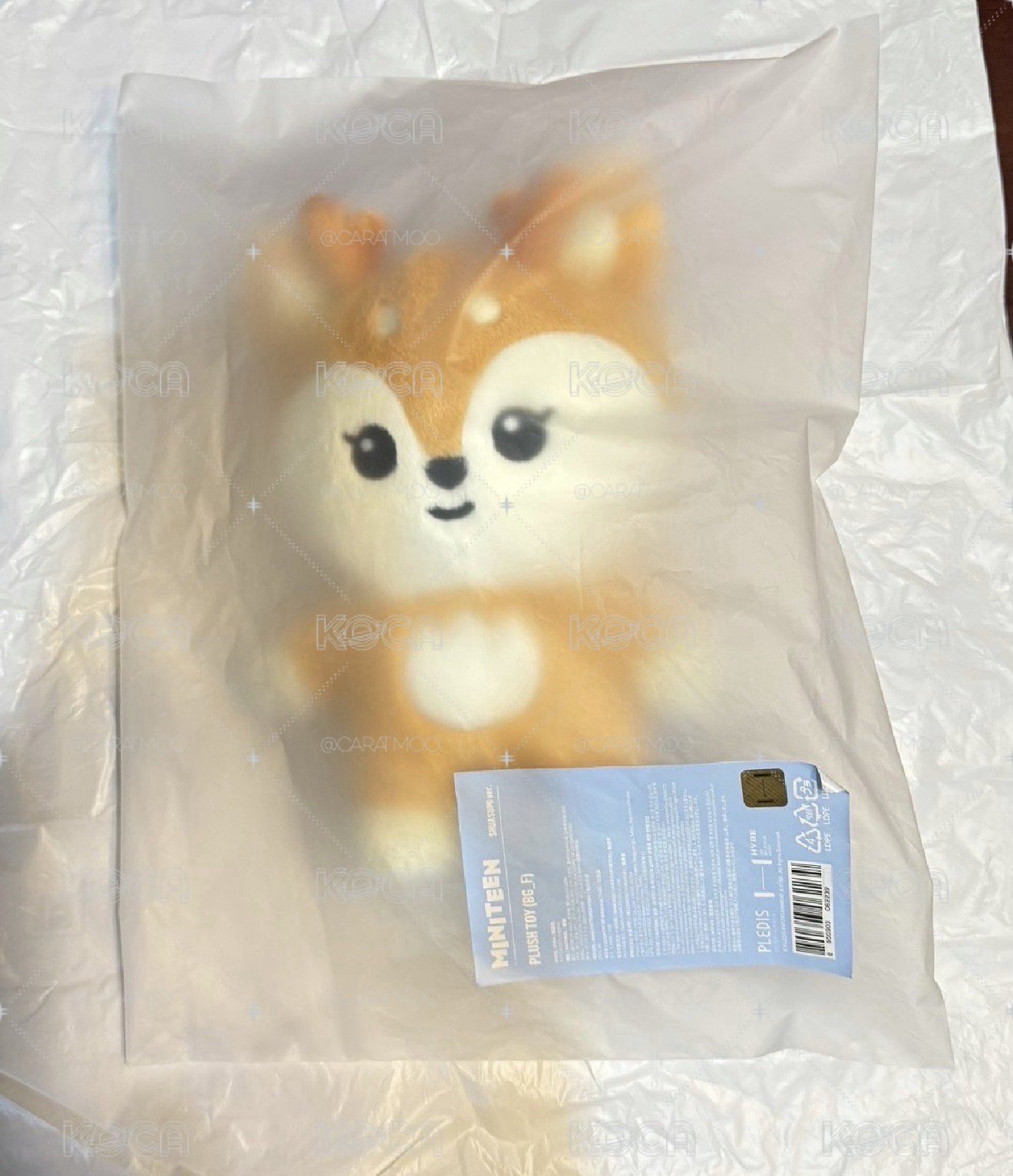 秀站娃小盤