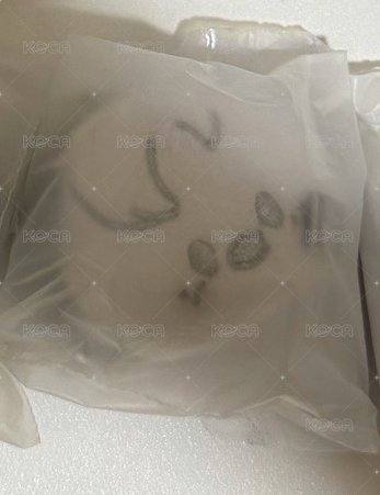 糰子菲（請多帶燦或彬）
