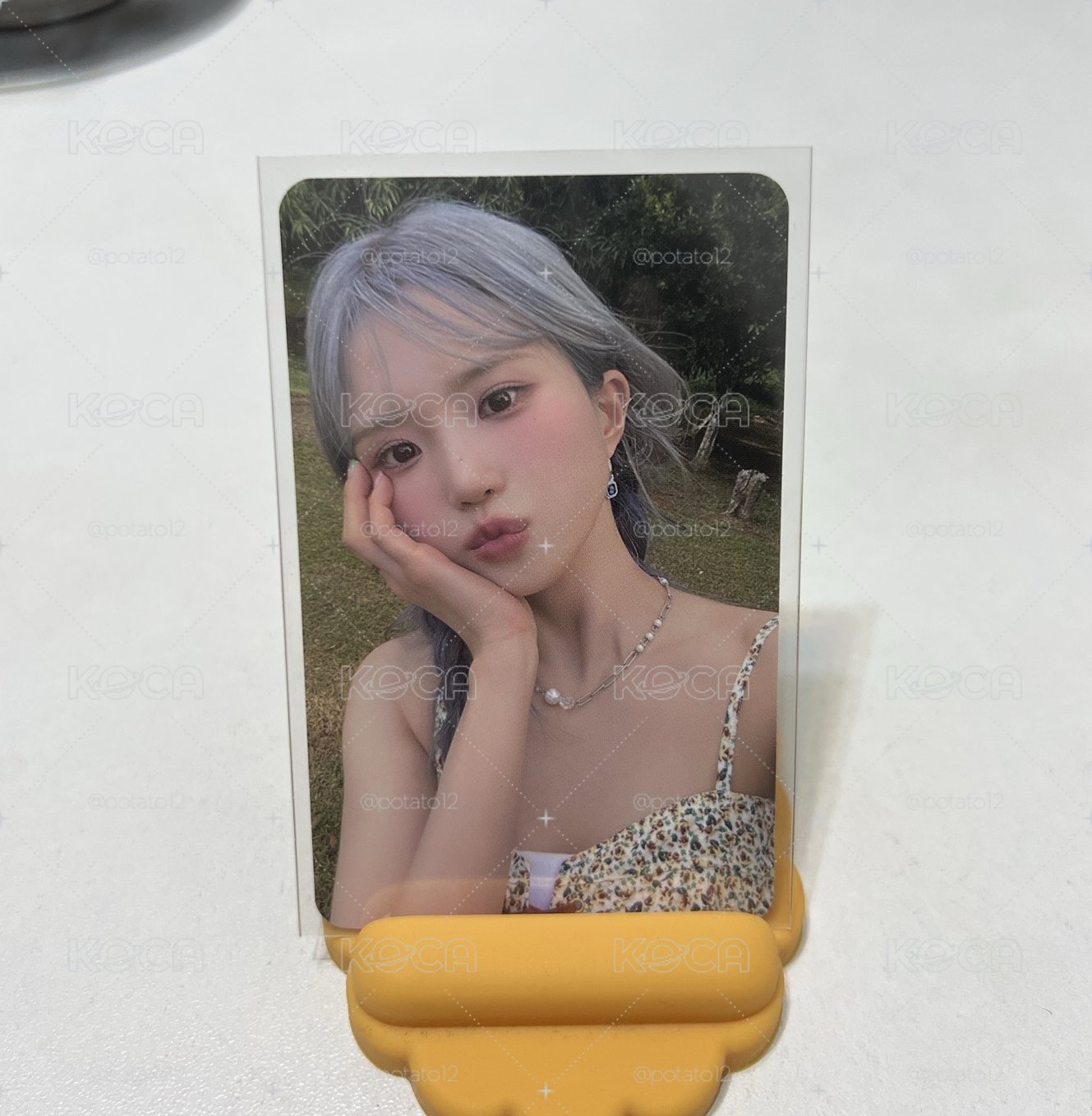 宋河英小卡