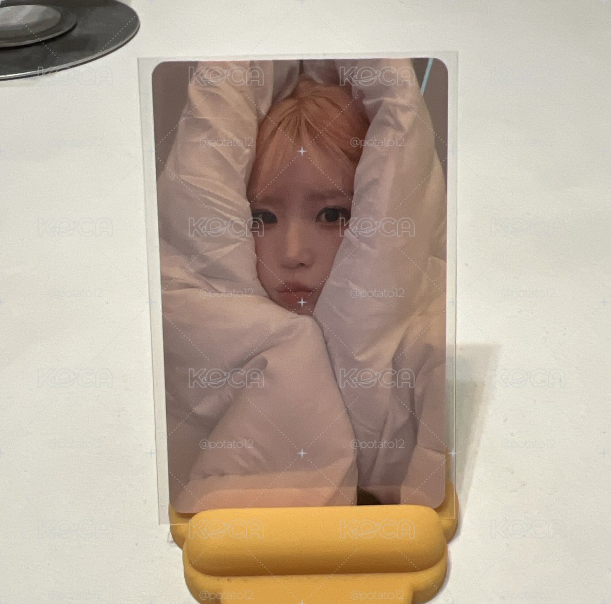 宋河英小卡