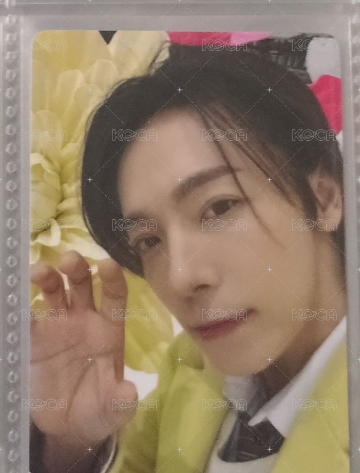 虎爪