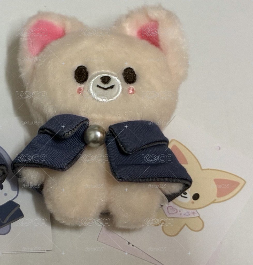 stray kids(娃區）