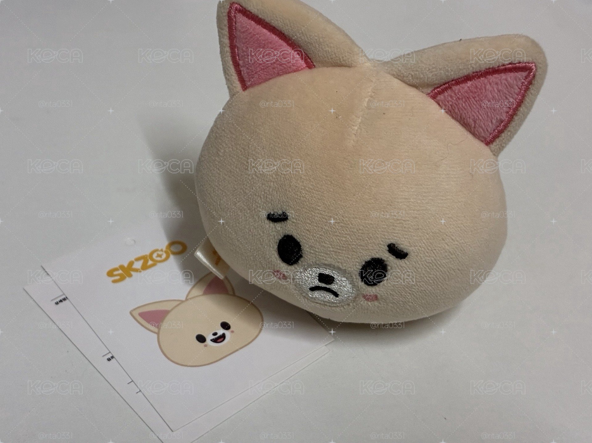 stray kids(娃區）