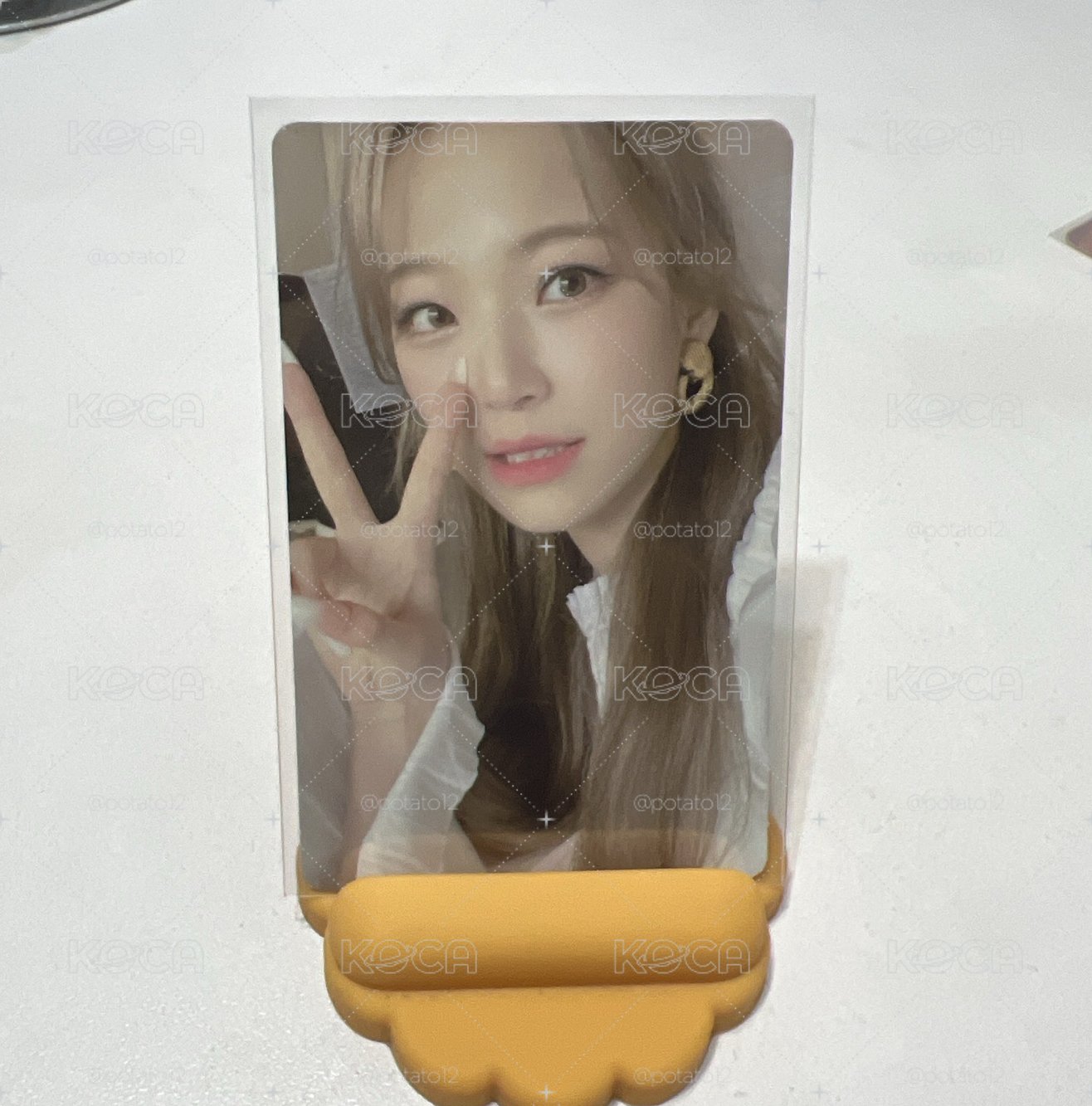 白知憲小卡