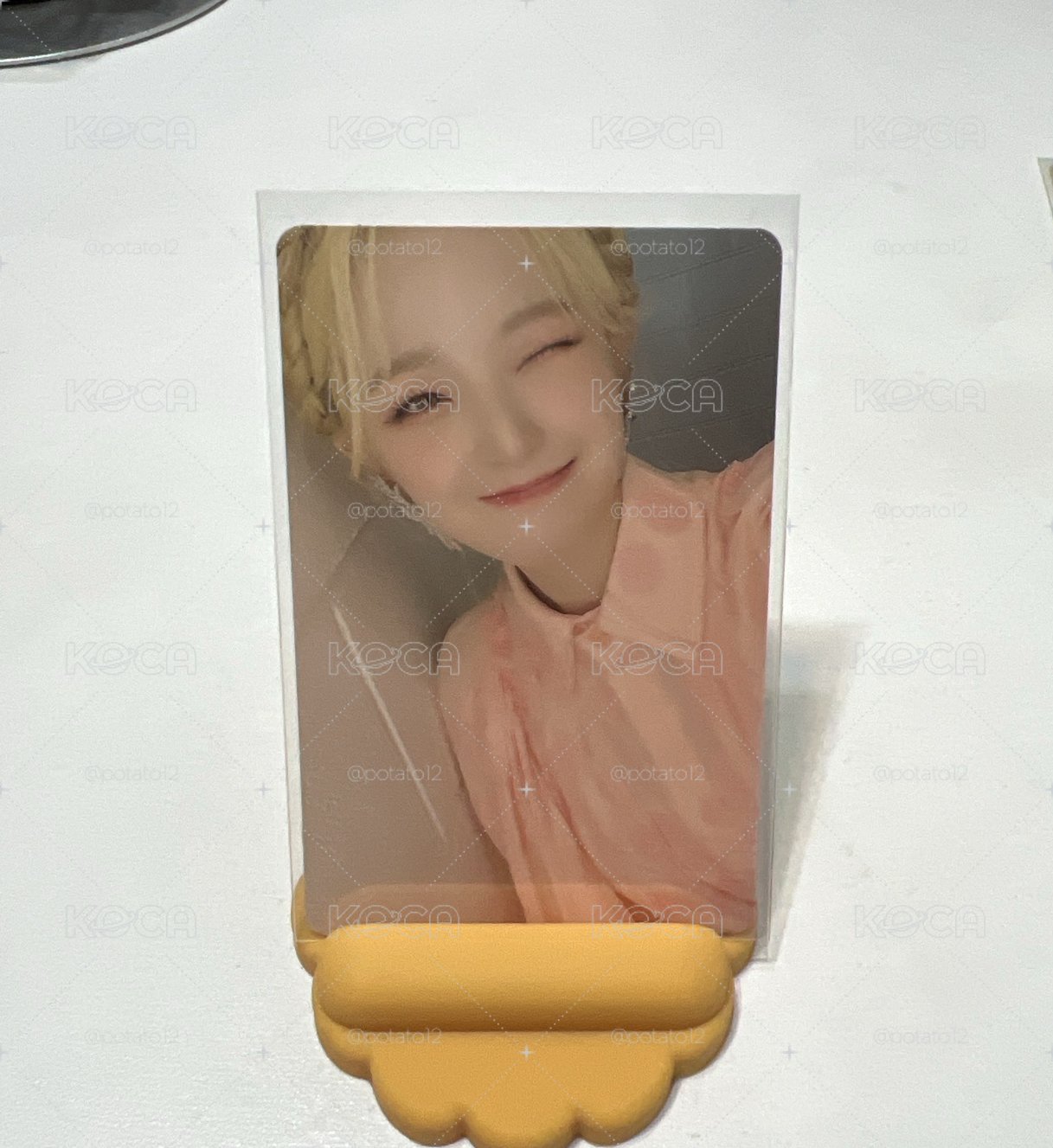 白知憲小卡