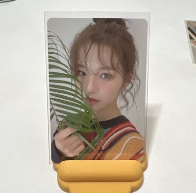 白知憲小卡