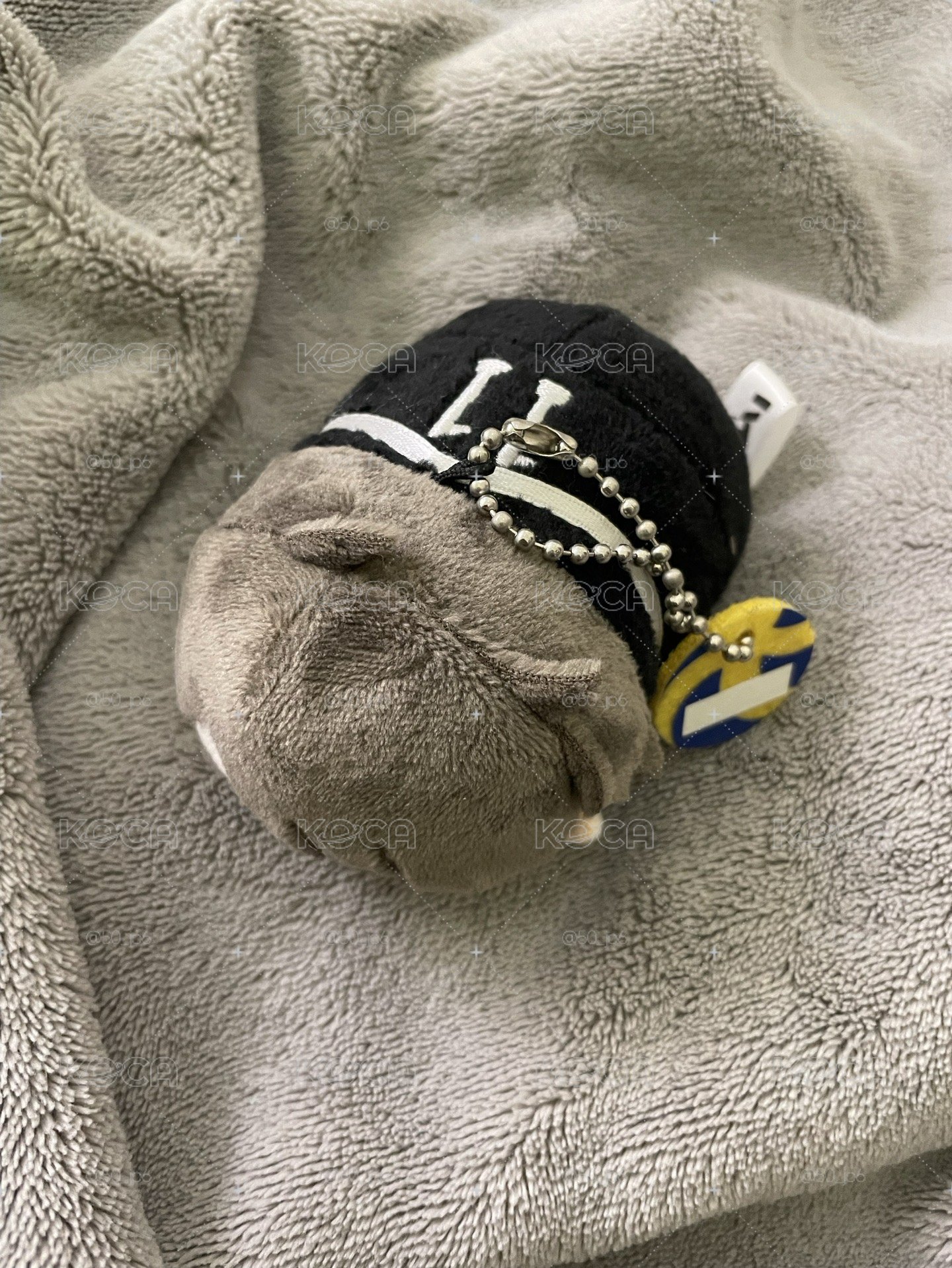 排球少年 宮治 趴娃