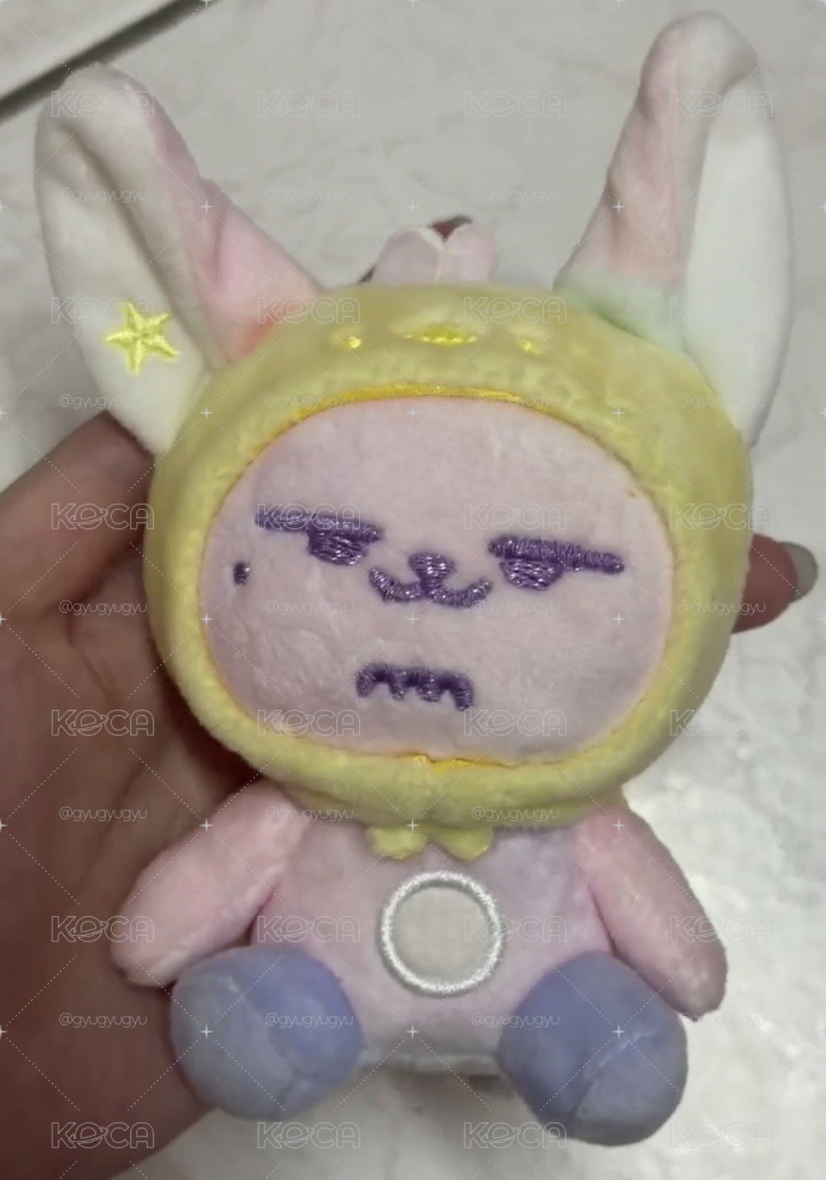 淡顏彩春