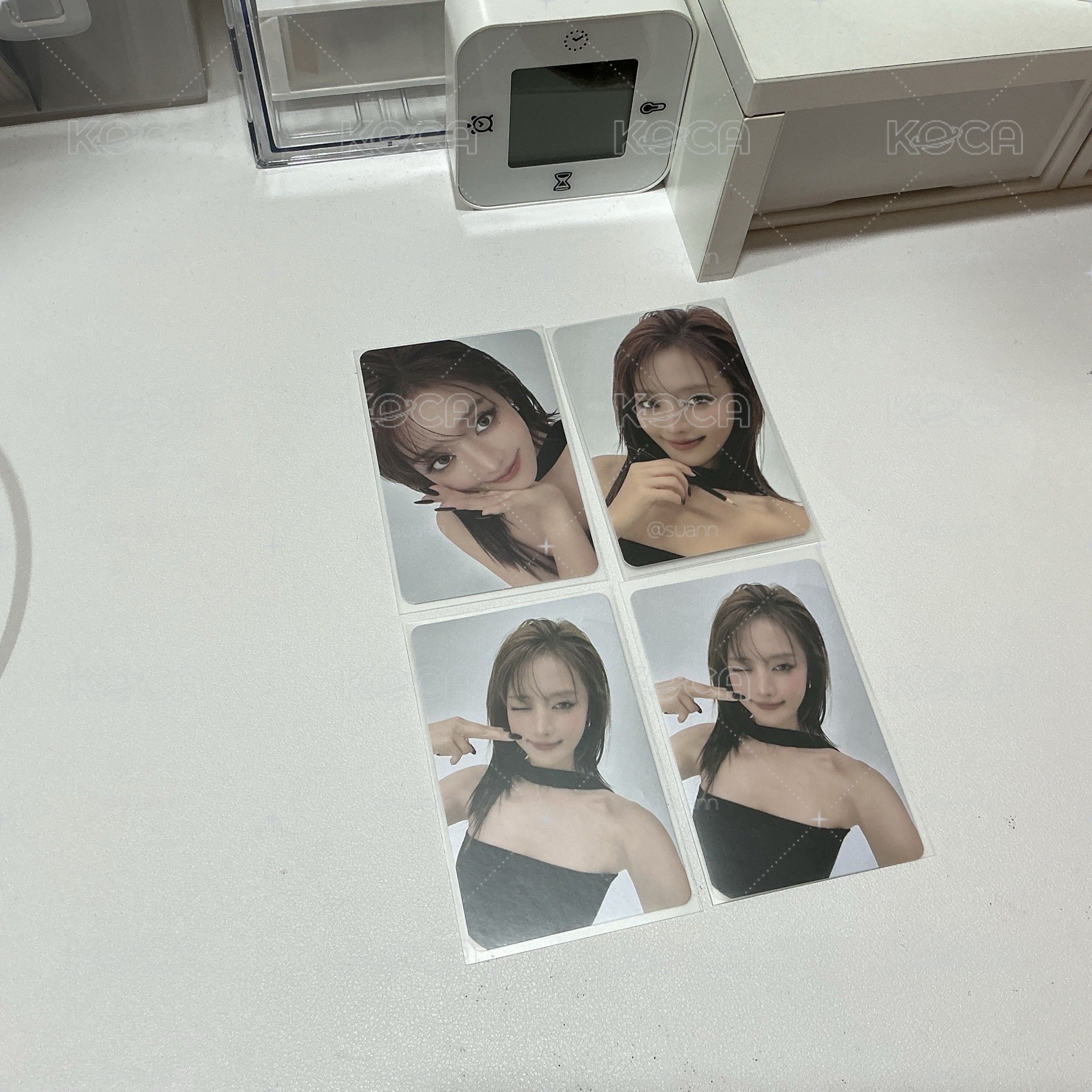 世巡妮