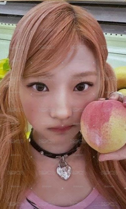 Stella 塔店特典