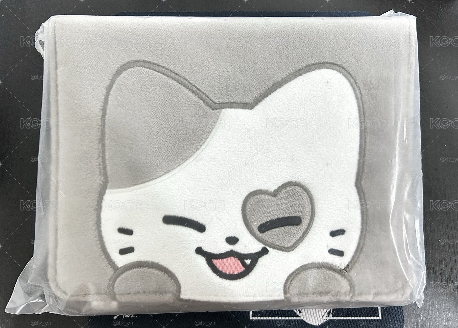 ITZY黃禮志KKengEE飯咪日場絨毛卡冊