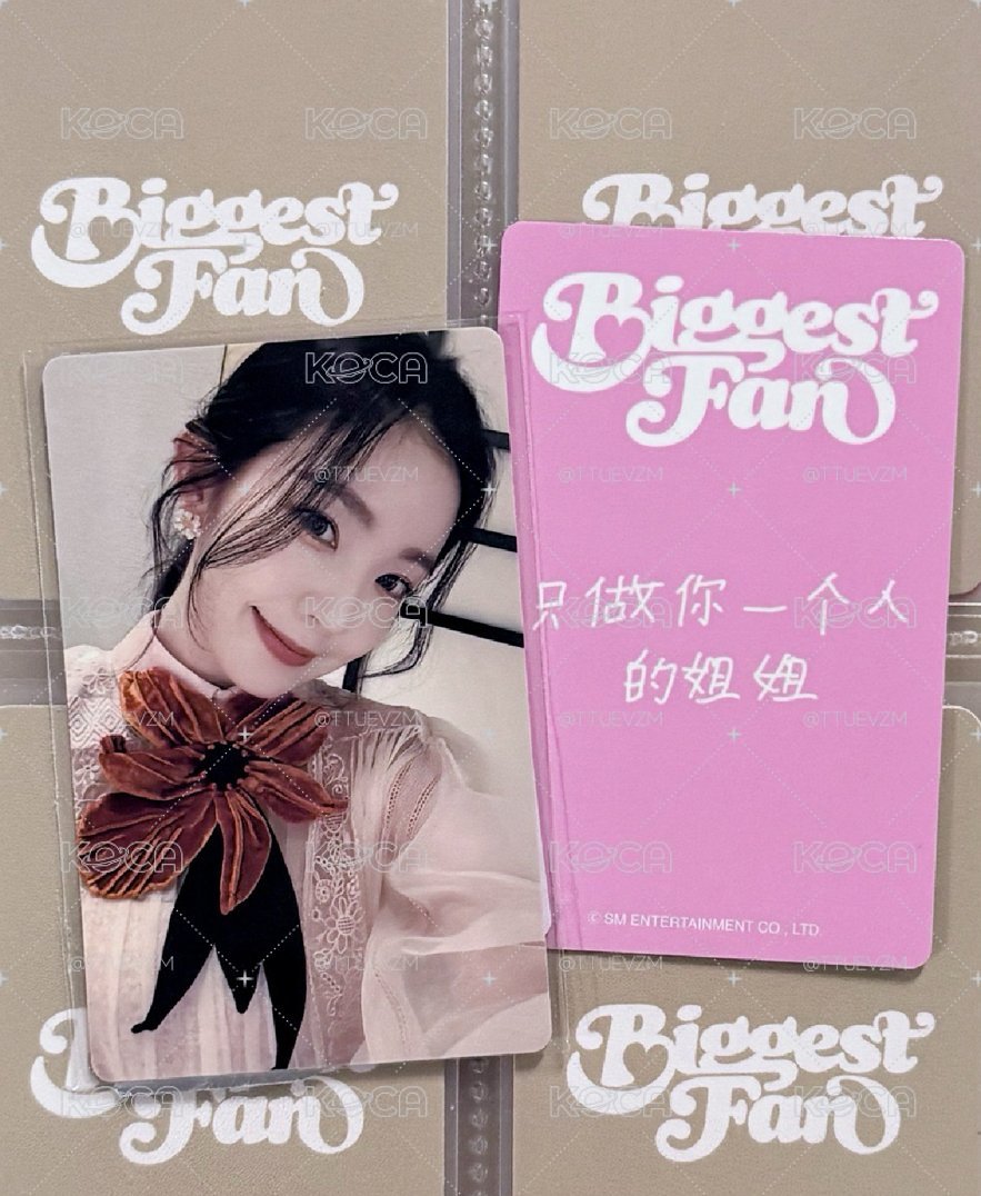 IRENE 小芒合影簽售卡 中文卡背