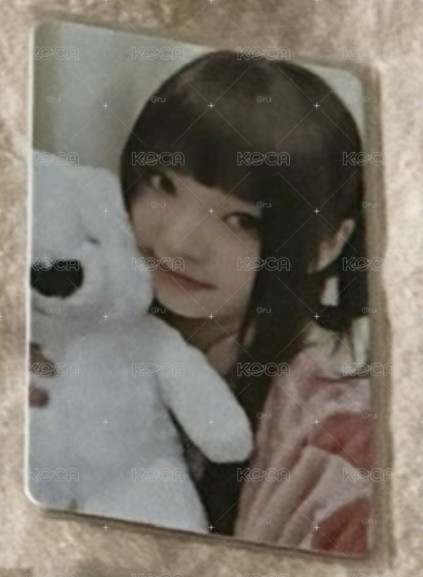 抱熊圭