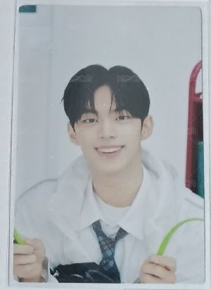 開朗狗狗