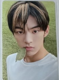 咬草狗狗