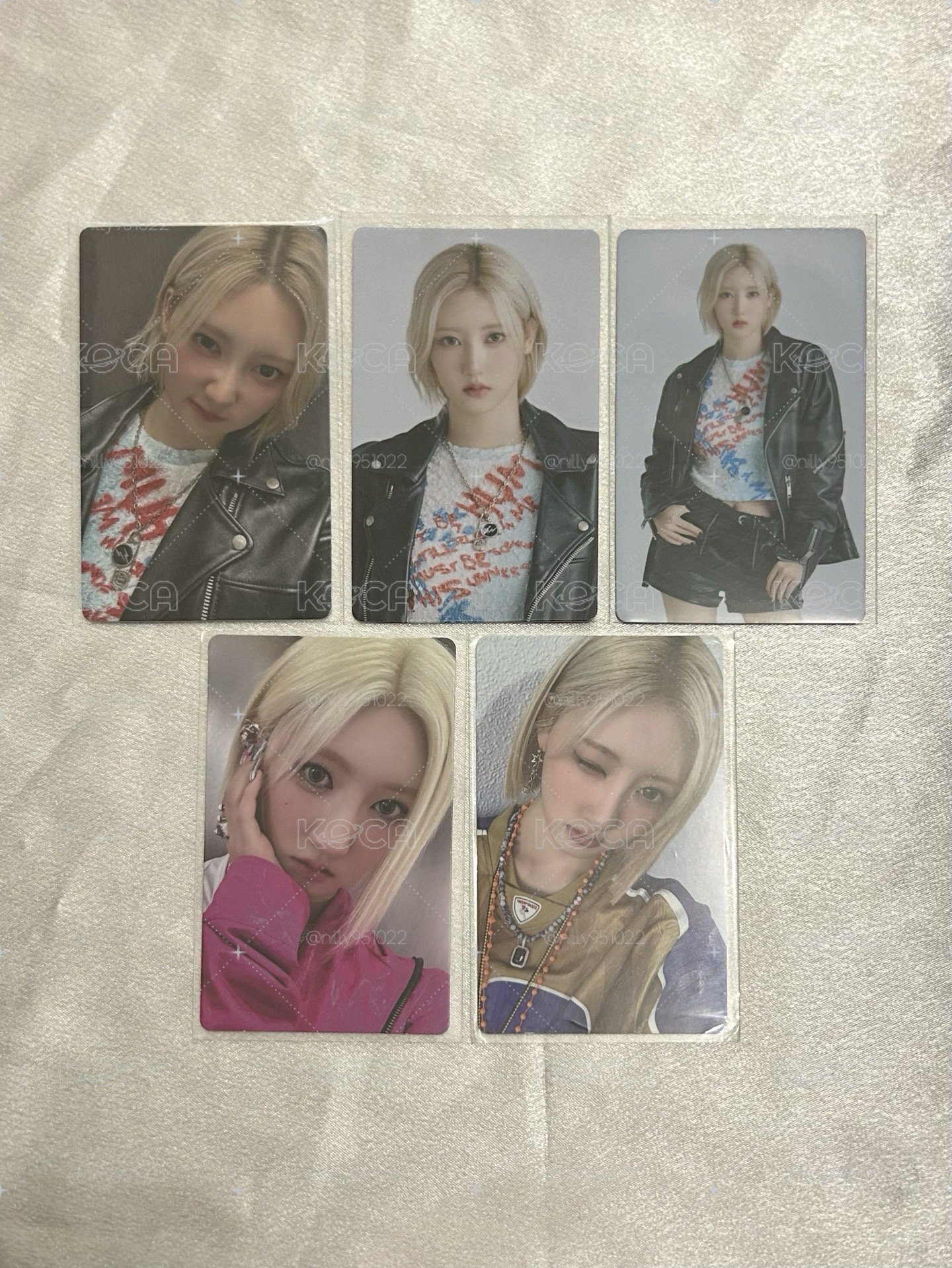 寶怪 藍盤