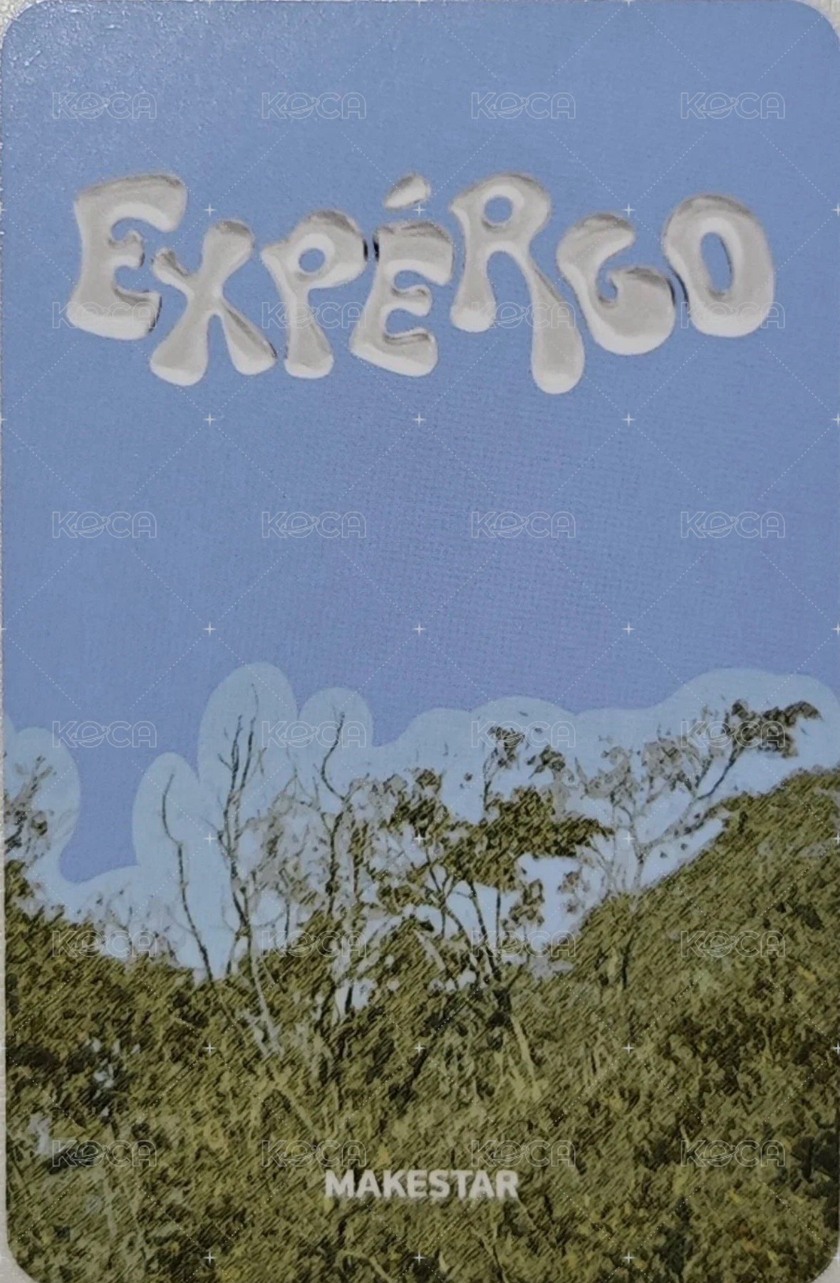expérgo ms 4.0 簽售卡 公主 背面