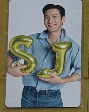 源SJ 