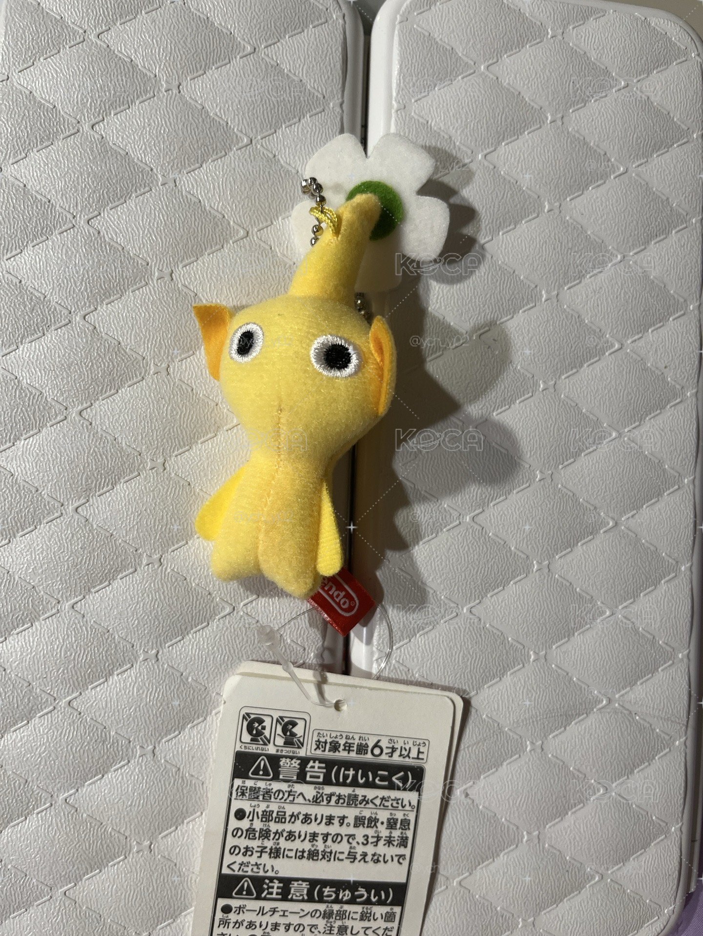 黃皮