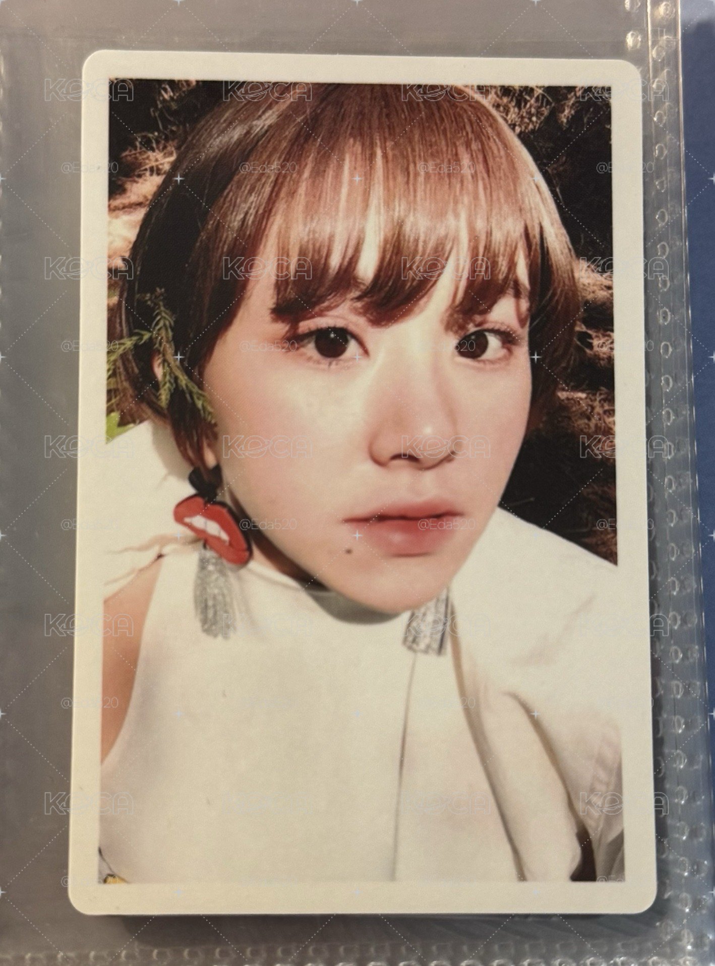 彩瑛預售禮八張
