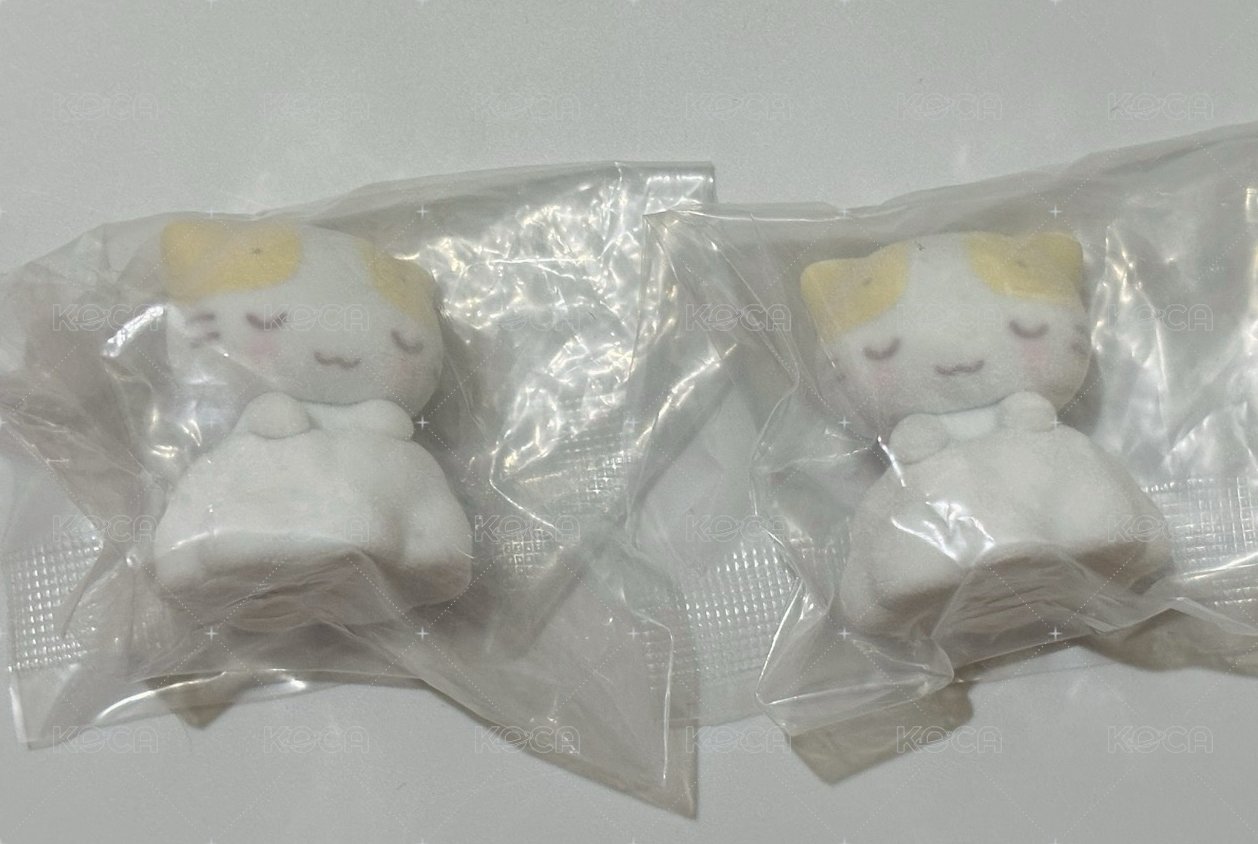 貓