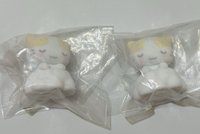 貓