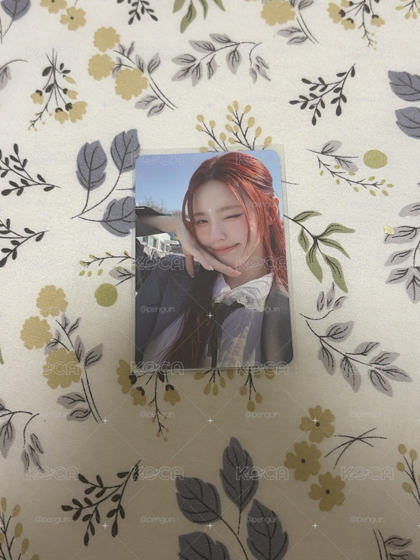 fate麵打歌卡