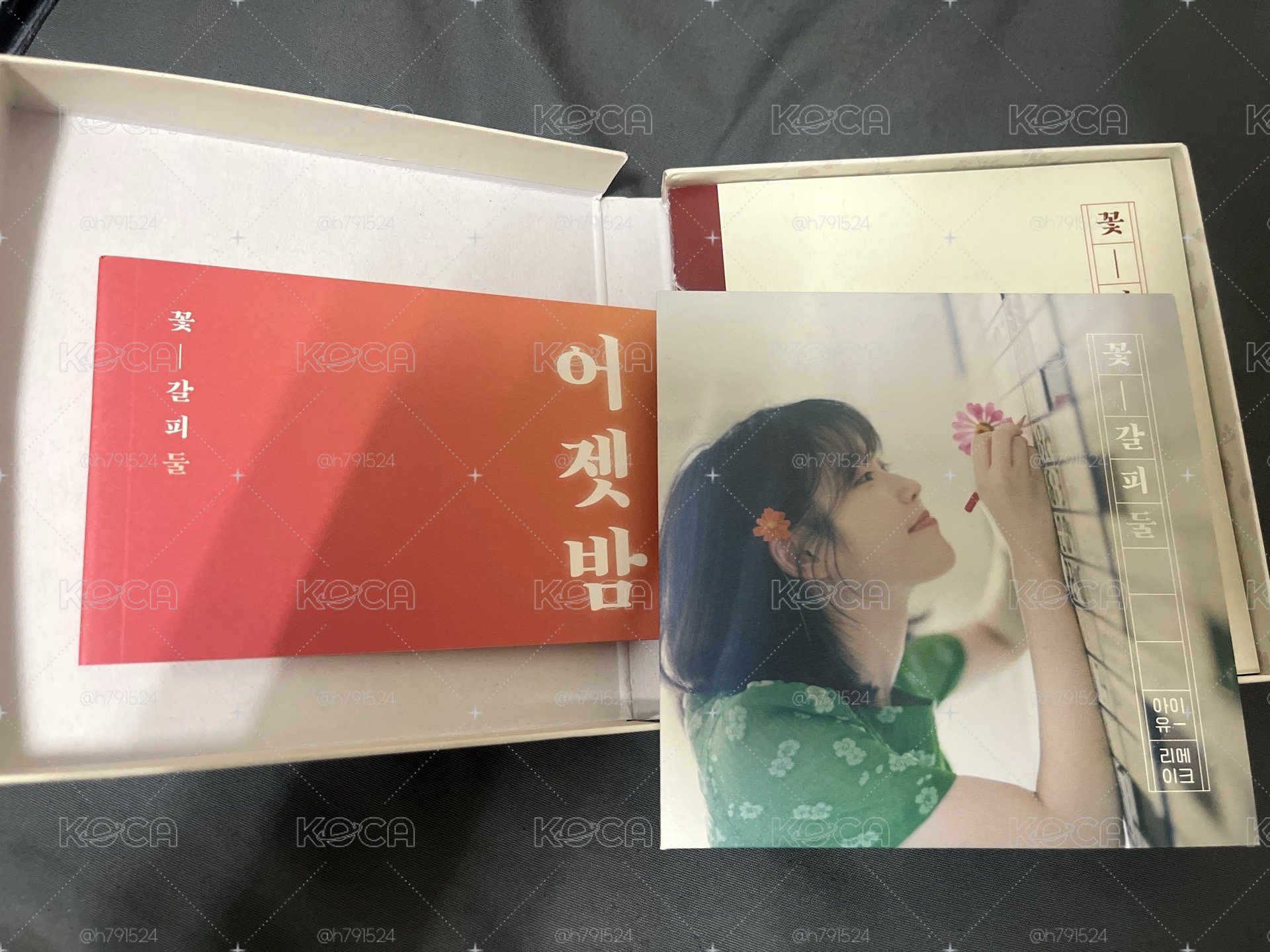 IU 李知恩 花書籤2 專輯