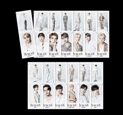 【SEVENTEEN 全新現貨】BE THE SUN 兩格相片 整組 13張 小卡