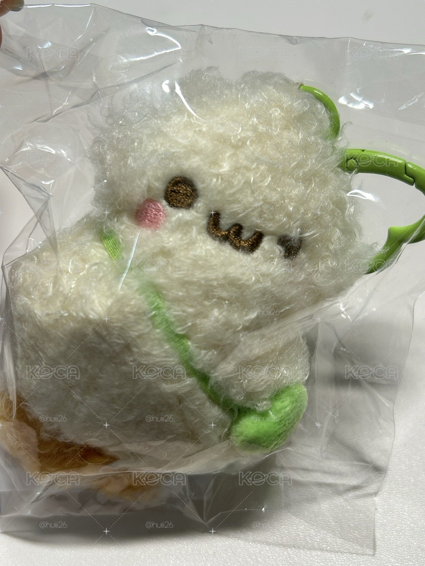 IAN 原皮娃娃
