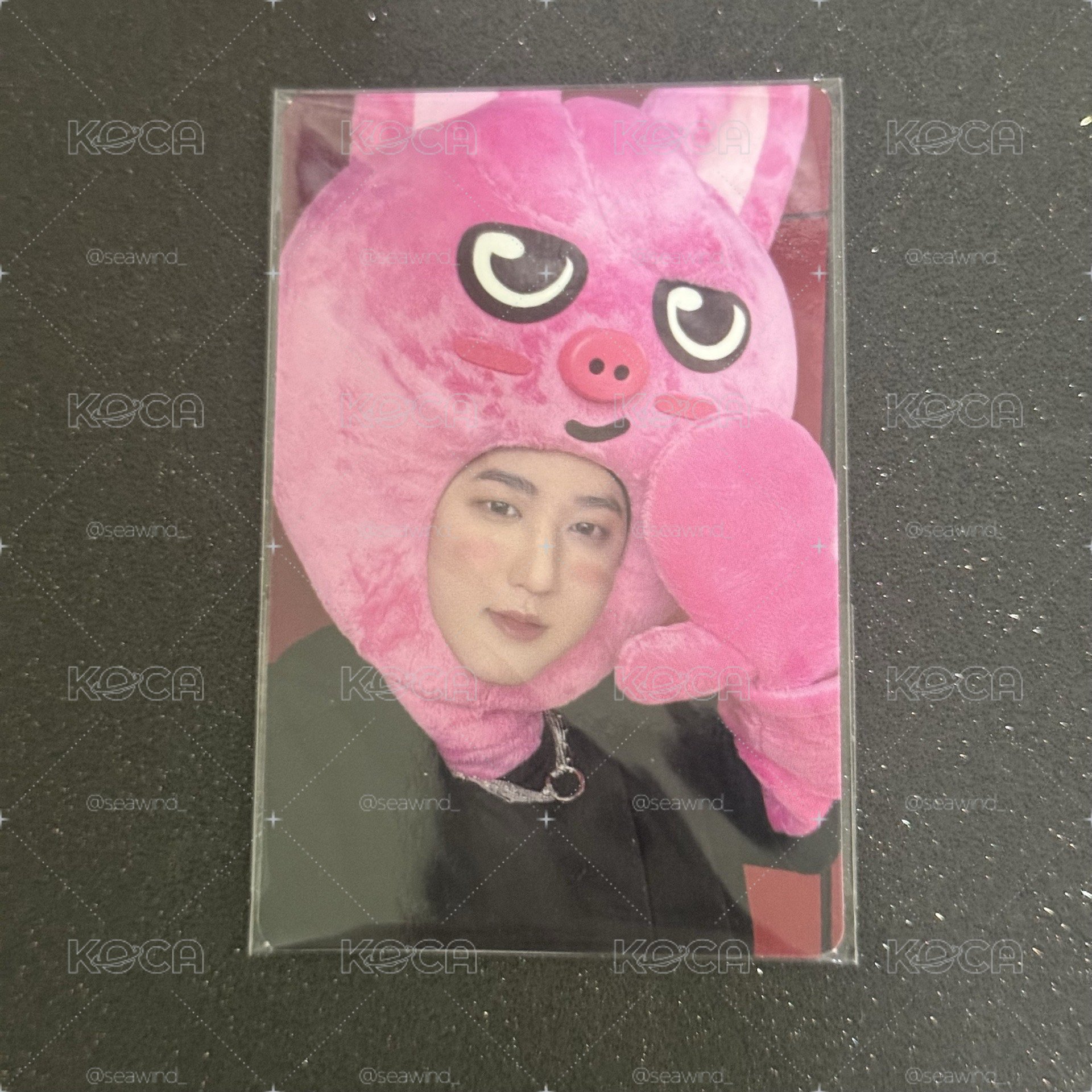 JYP 豬兔 彰彬
