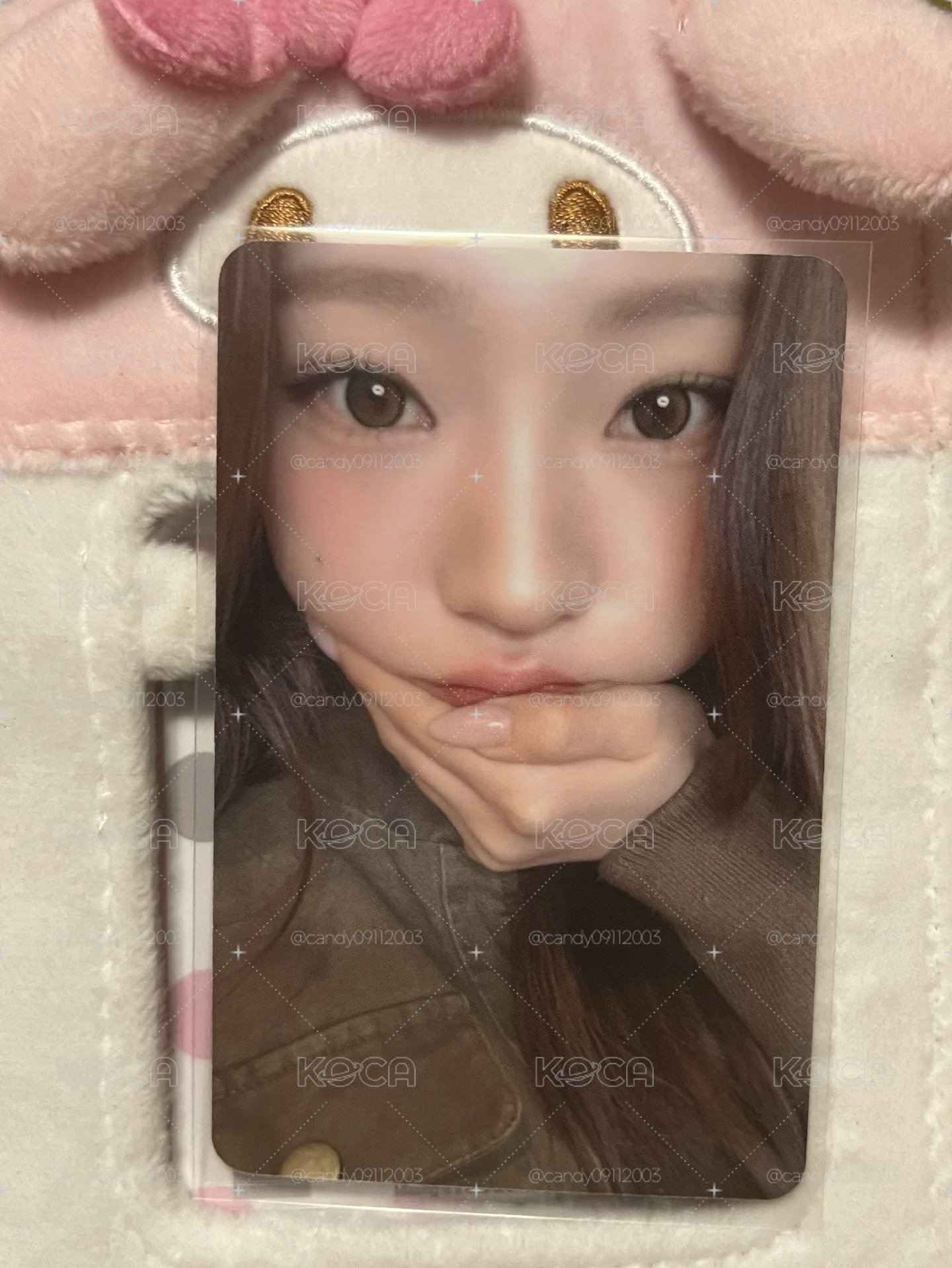 stella 中文卡背🐈✨