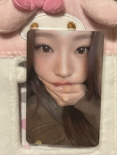 stella 中文卡背🐈✨
