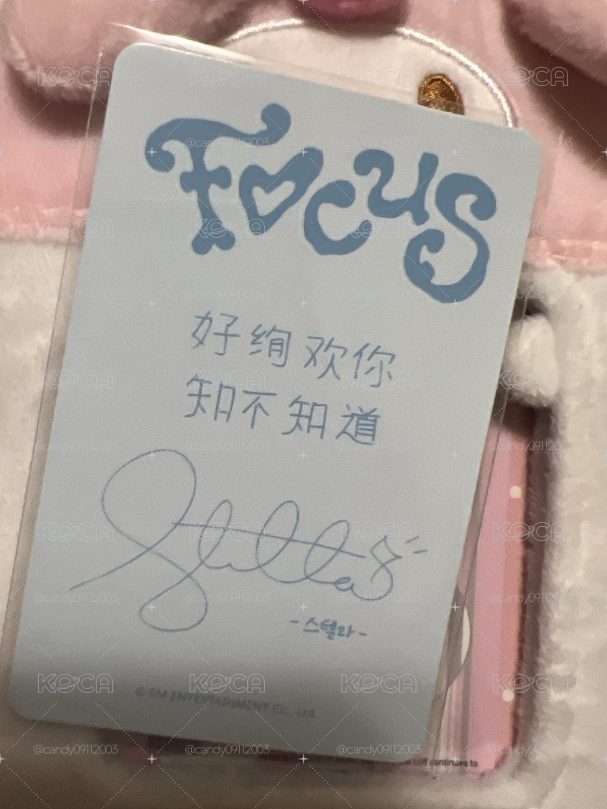 stella 中文卡背🐈✨