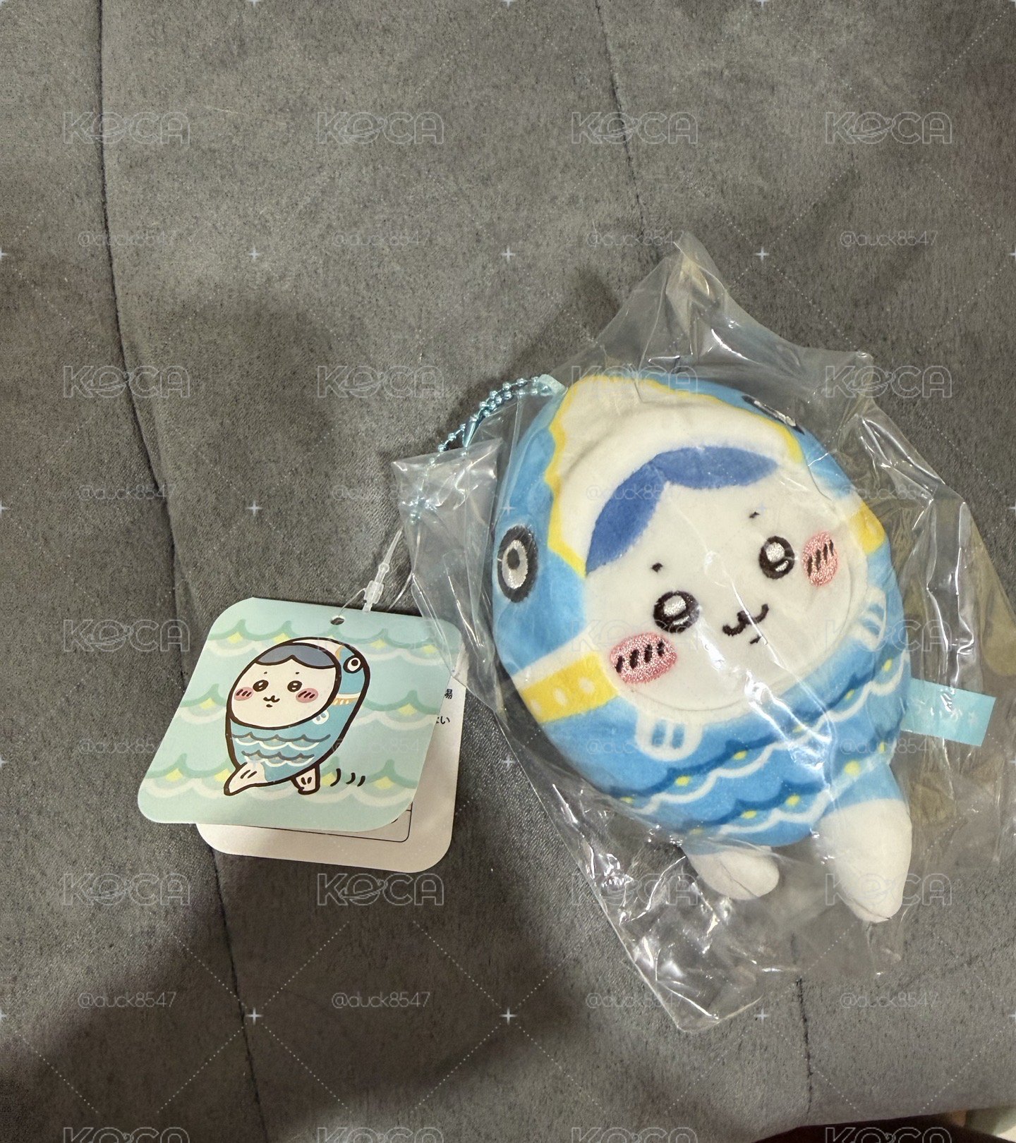 鯉魚八