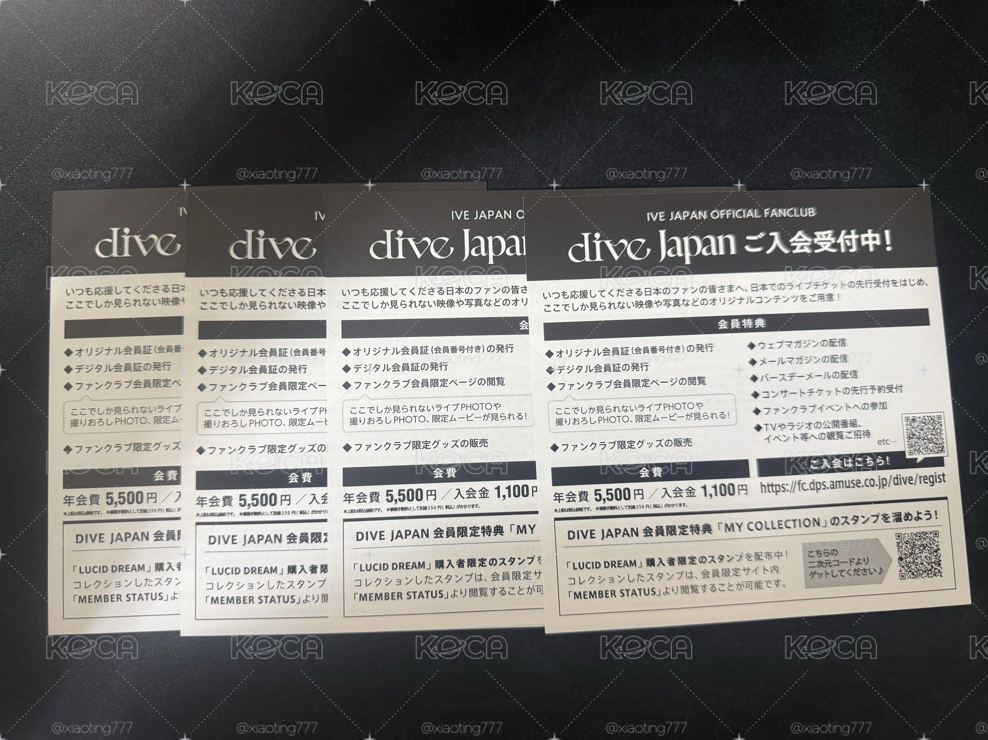 LUCID DREAM 應募券 