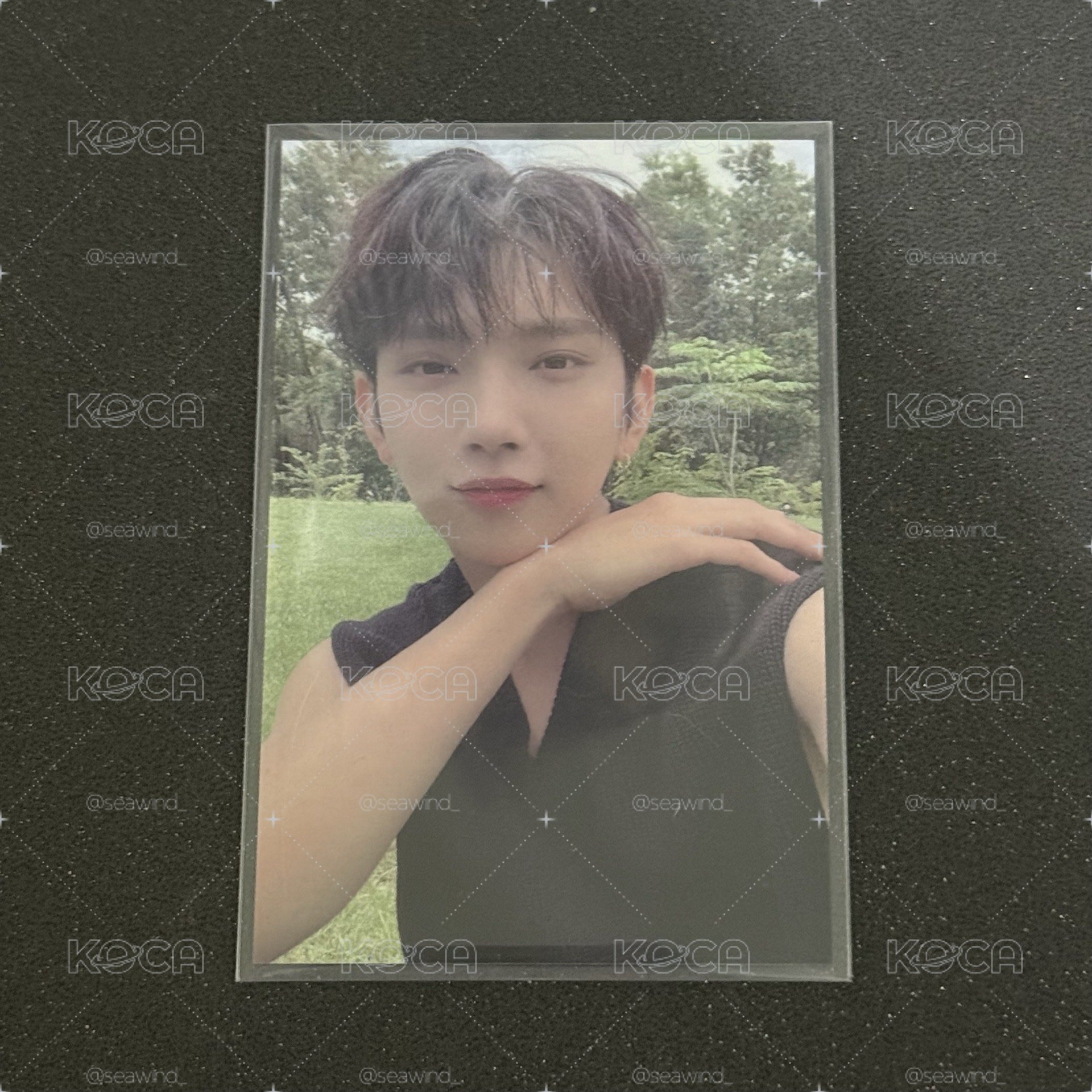 SVT JOSHUA 洪知秀 迷九 打歌卡