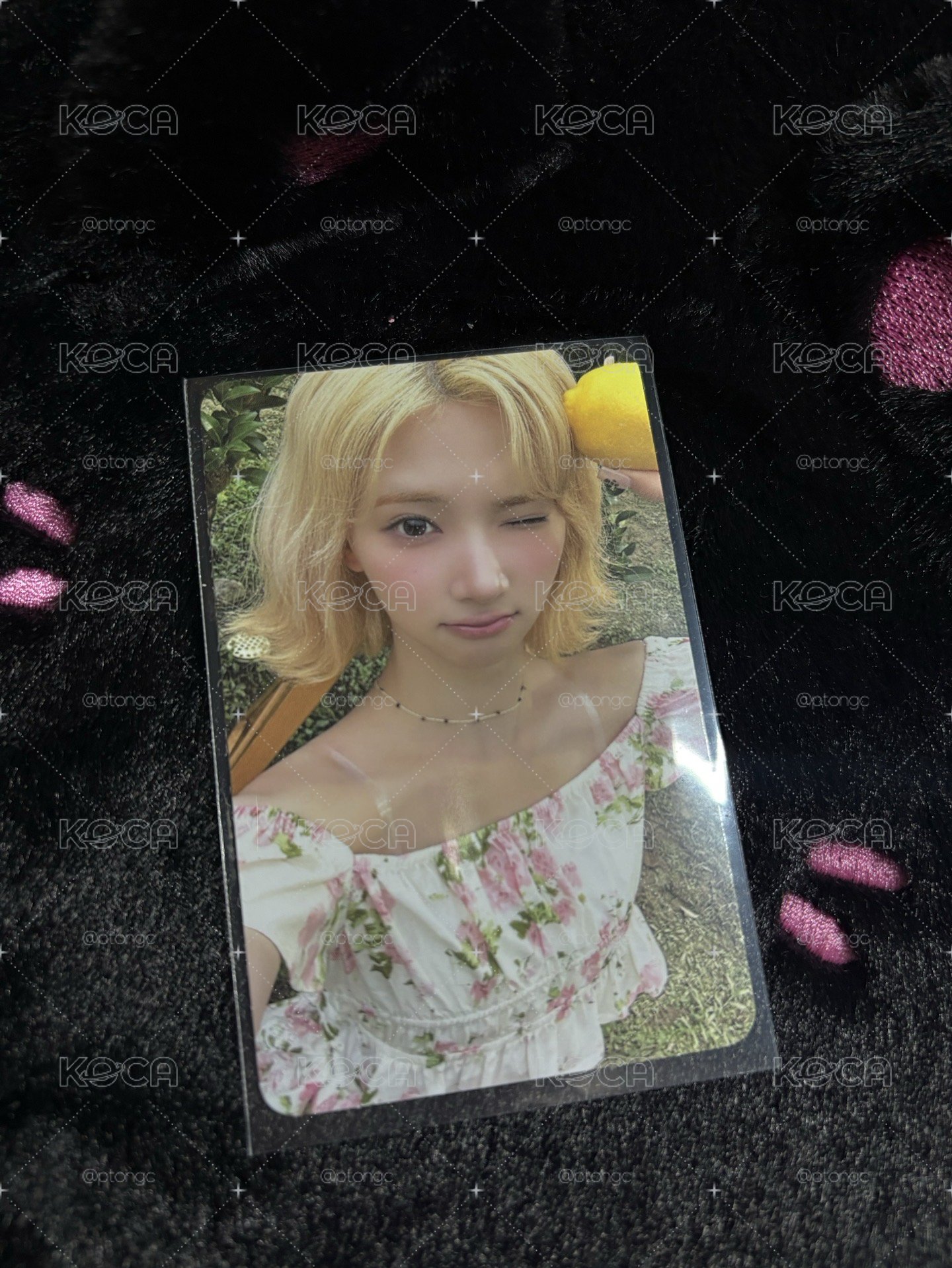 jiwoo 貼紙專卡